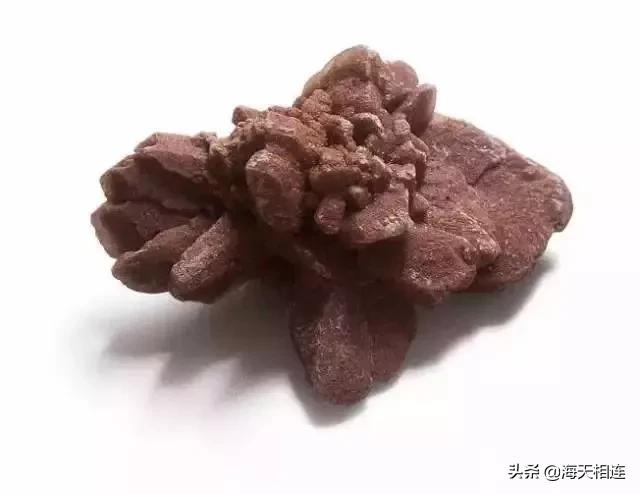 难得一见的仙鹤假奇石,这些难得一见的奇石美醉了