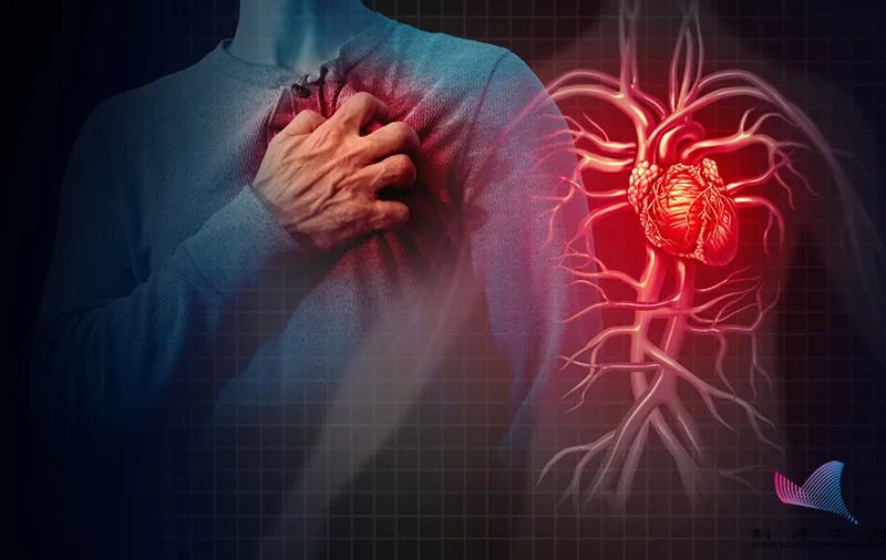 这种坚果吃了排毒40天,什么坚果吃了养肝