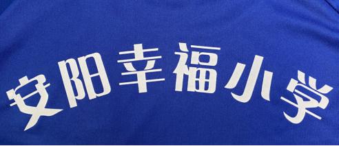 安阳幸福小学,河南省安阳市幸福小学