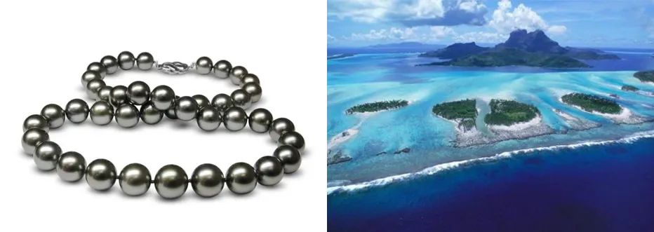 珍珠guild证书怎么看,大溪地黑珍珠鉴定证书