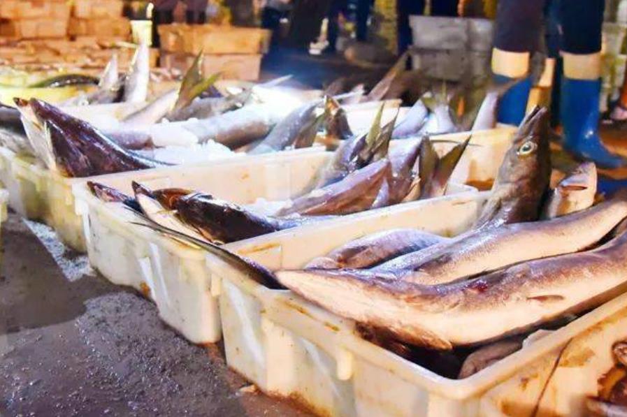 北海的海鲜便宜还是防城港的便宜 (北海吃哪些海鲜便宜)