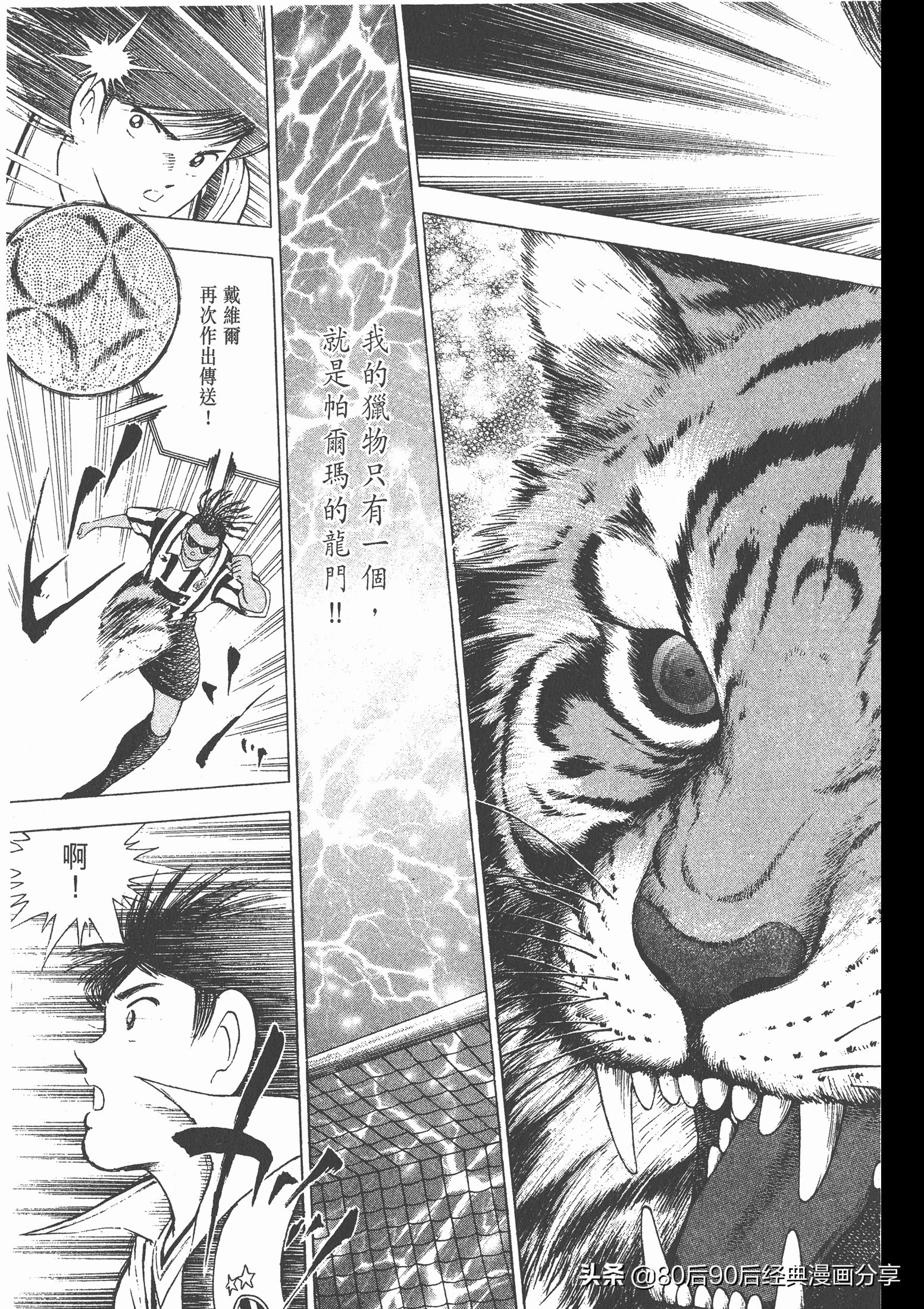 roadto2002,瓒崇悆灏忓皢roadto2002璁茶В