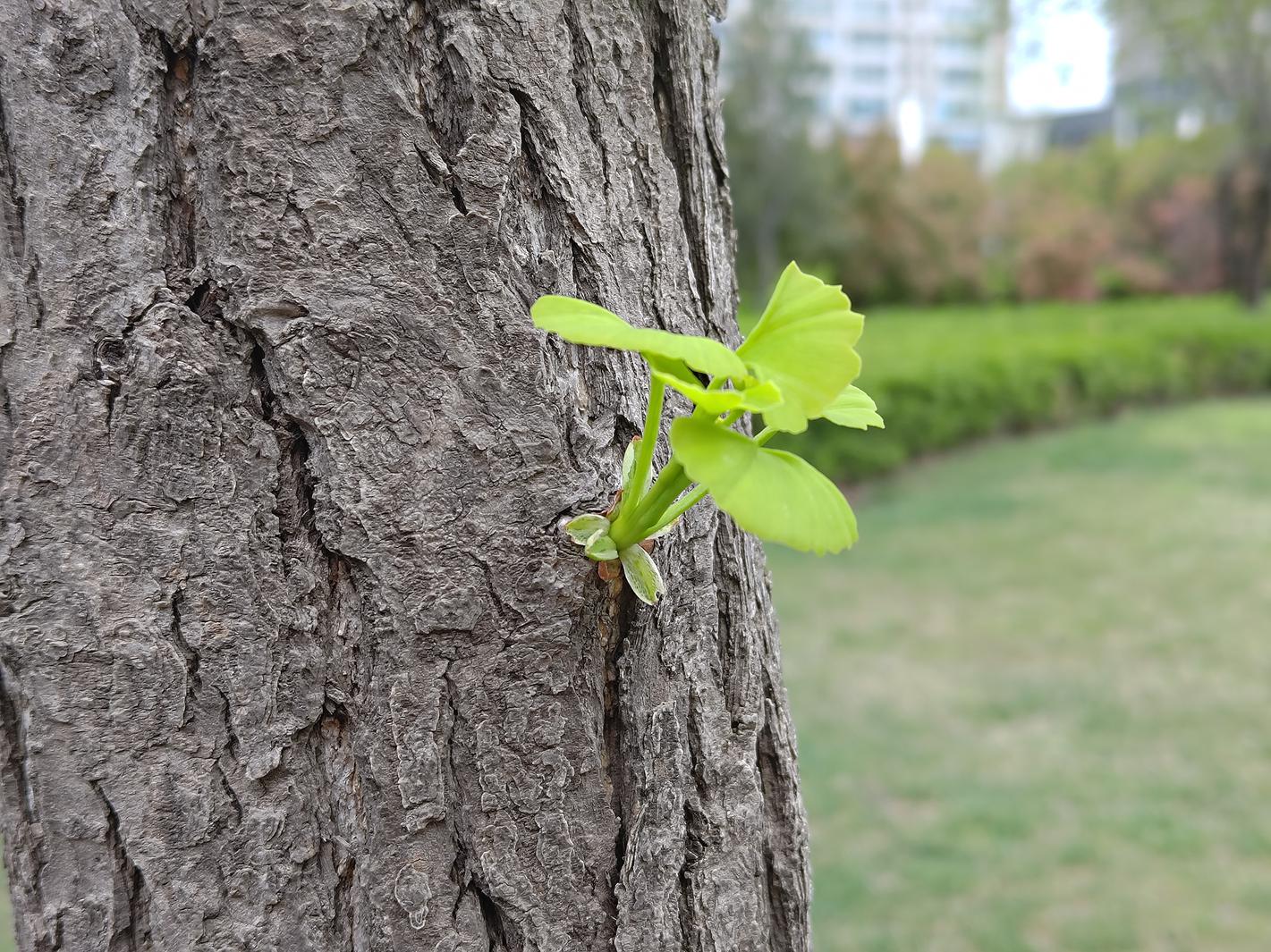 鏂板搧鑵捐rog娓告垙鎵嬫満7pro,涓撲笟鐜╁蹇呯湅鑵捐rog娓告垙鎵嬫満7pro