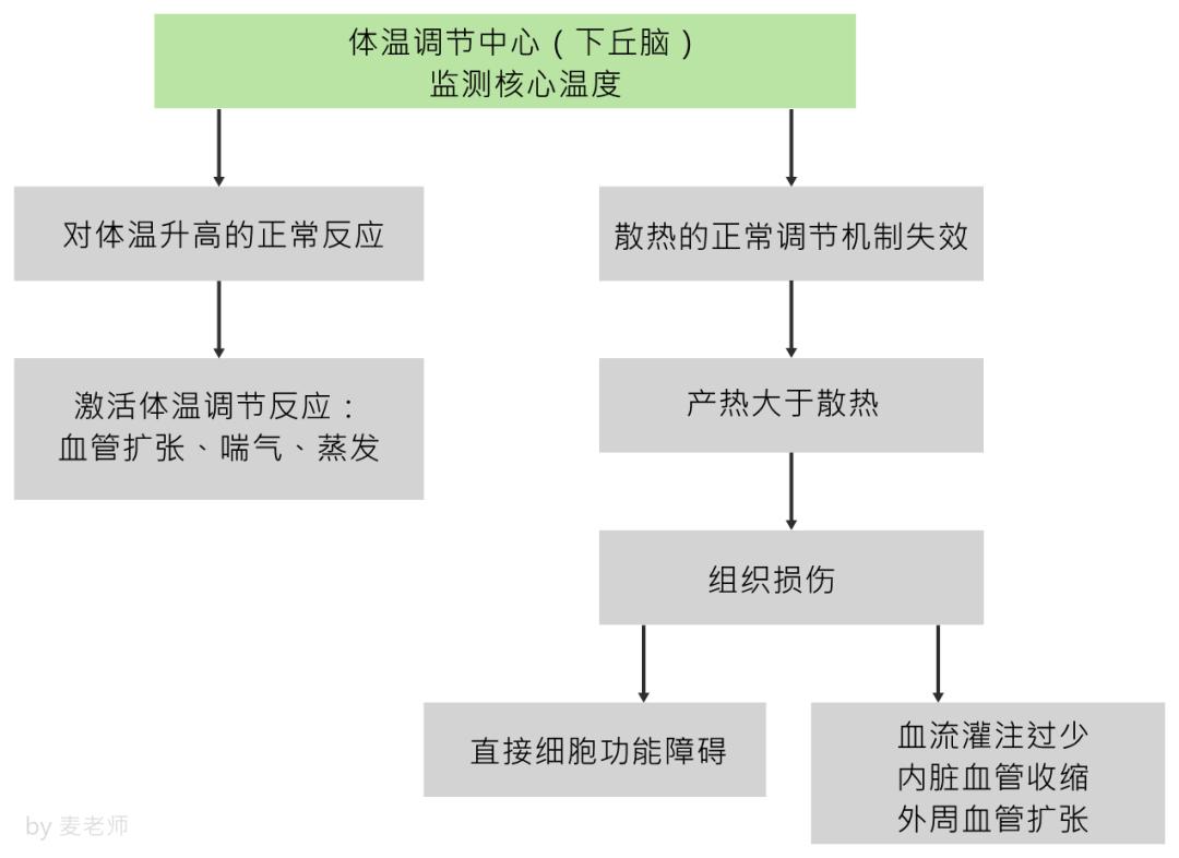 鸡中暑最佳治疗方法,鸡中暑了有些什么方法降暑的