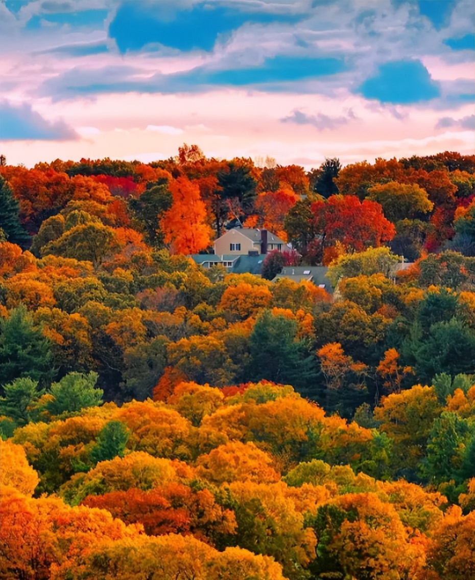 最是新秋好时光，有关新秋的诗词，在诗词里欣赏新秋的美景！​