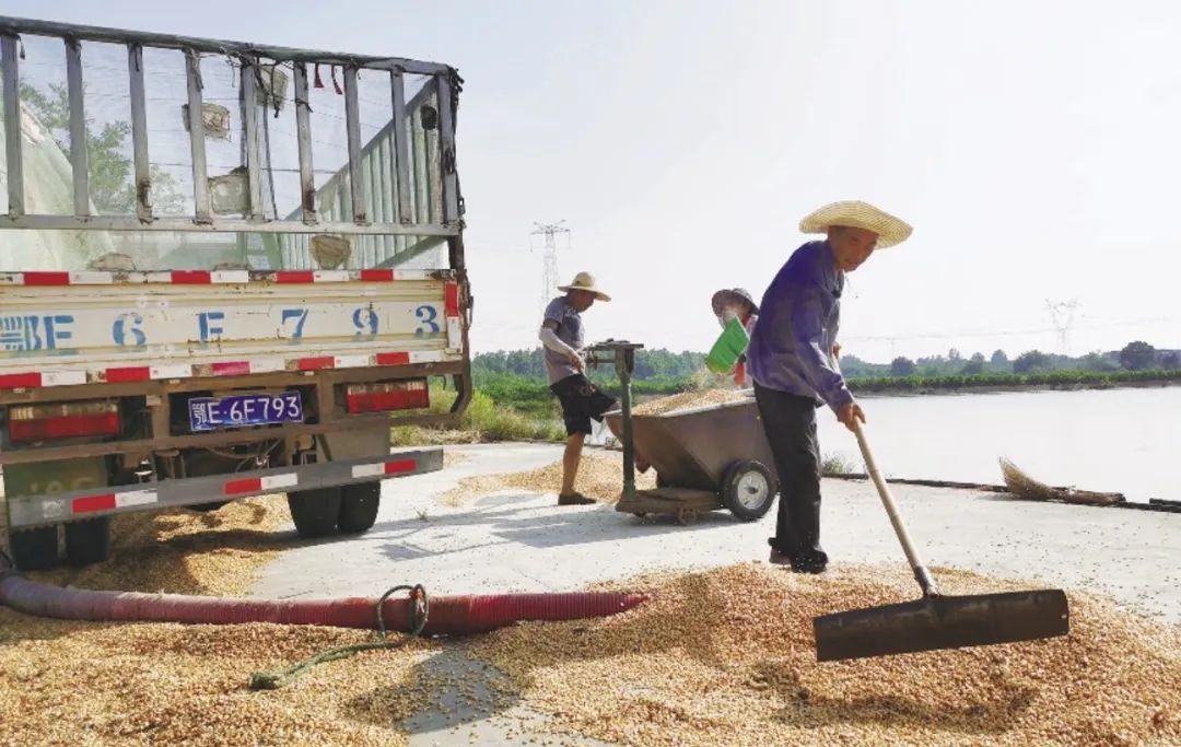 16年攒角子钱还清百万债务！宜昌的他，感动中国