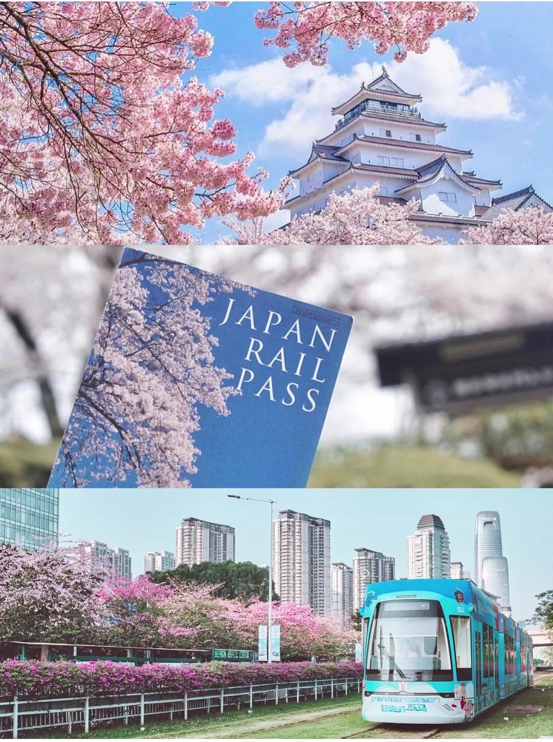 日本自由行签证条件2024,大专学历能申请日本工作签证吗