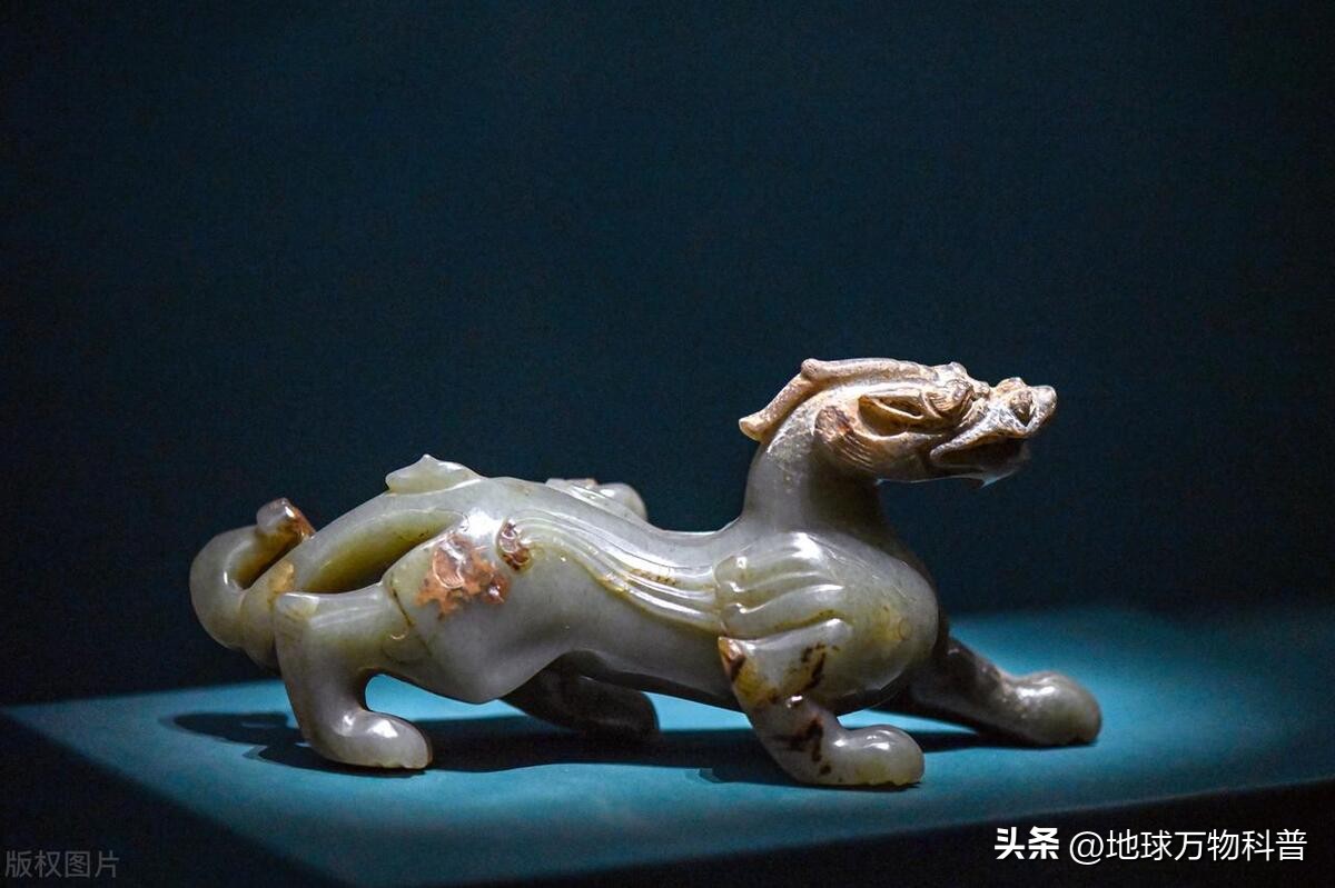 万物知识科普,万物科普解说