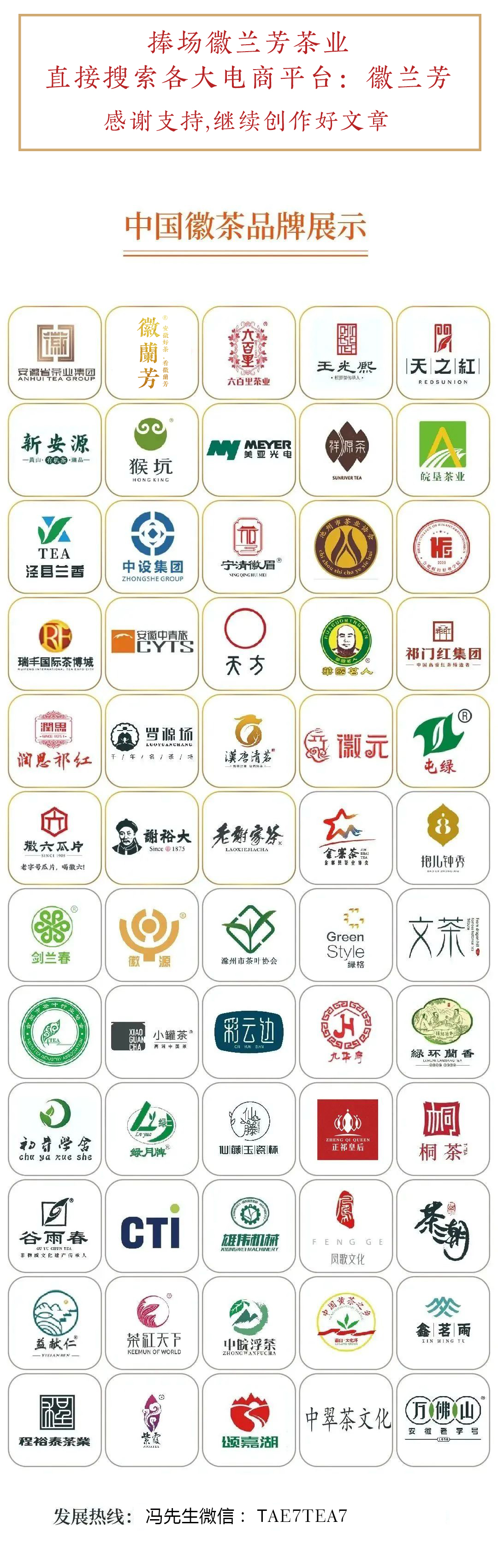 为什么买的茶叶那么绿,买茶注意什么事项