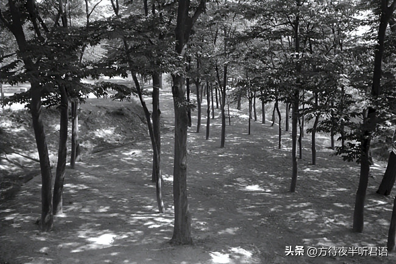 殊异之城：金石声穿过岁月的青岛留影