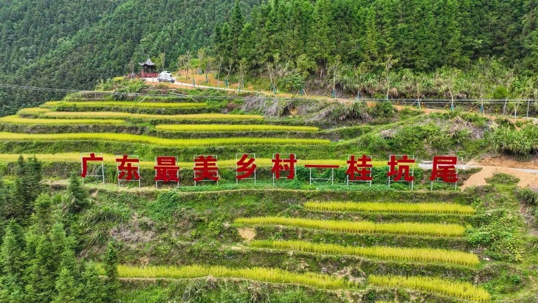 韶关秋天哪里有美景,韶关秋天美景