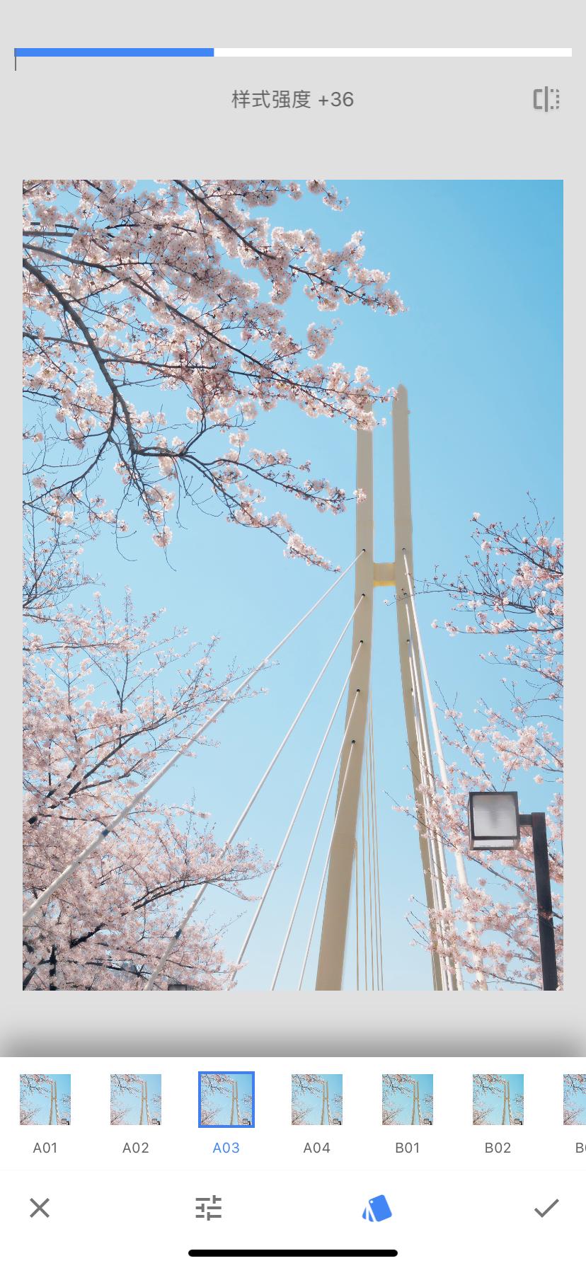 樱花照片怎么修图,樱花拍摄技巧和修图