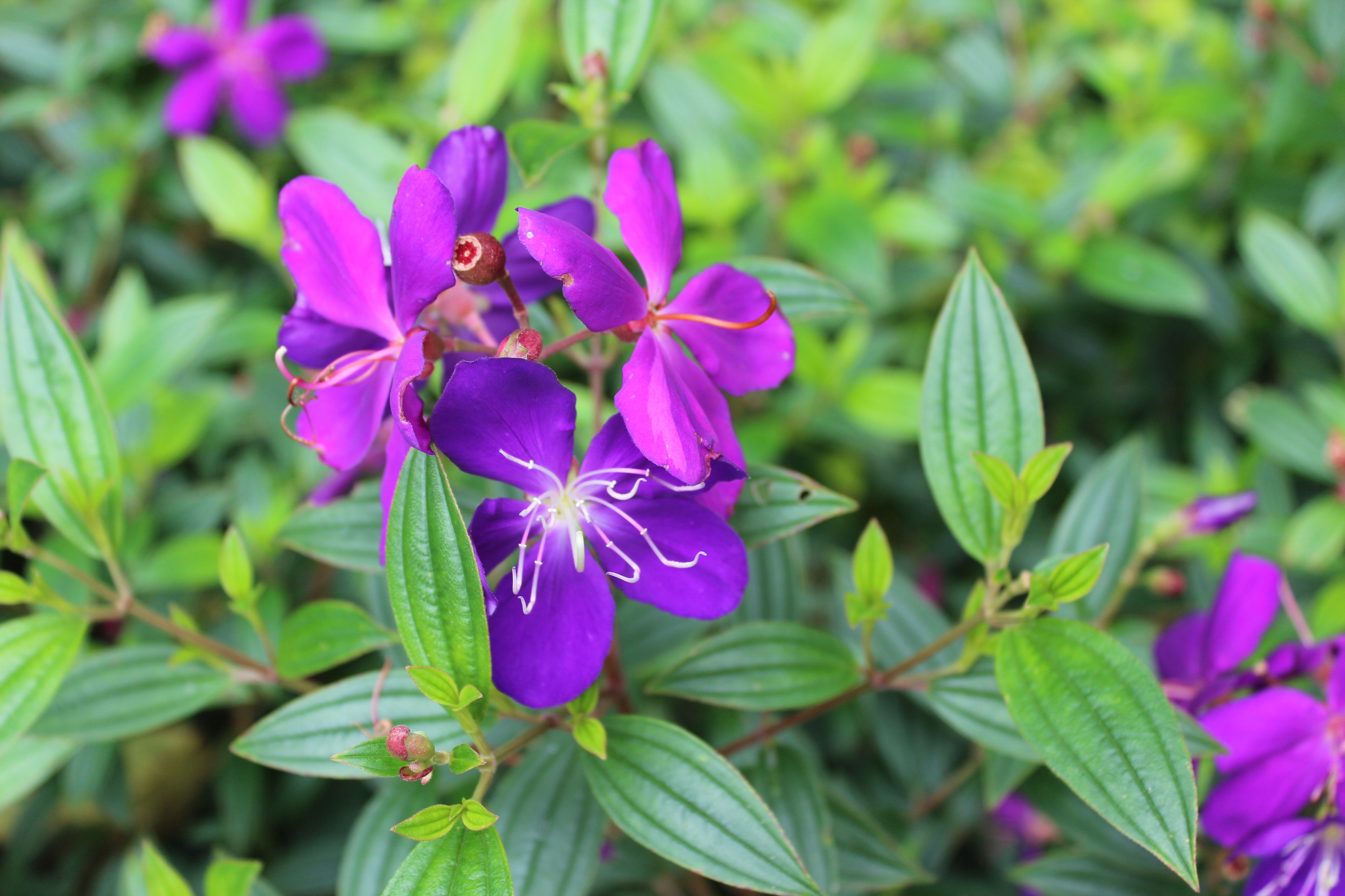 台湾行之垦丁南湾沙滩,台湾行