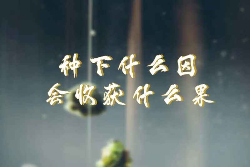 人老了尽量留给子女这三样东西,人老了要给自己留好三张底牌