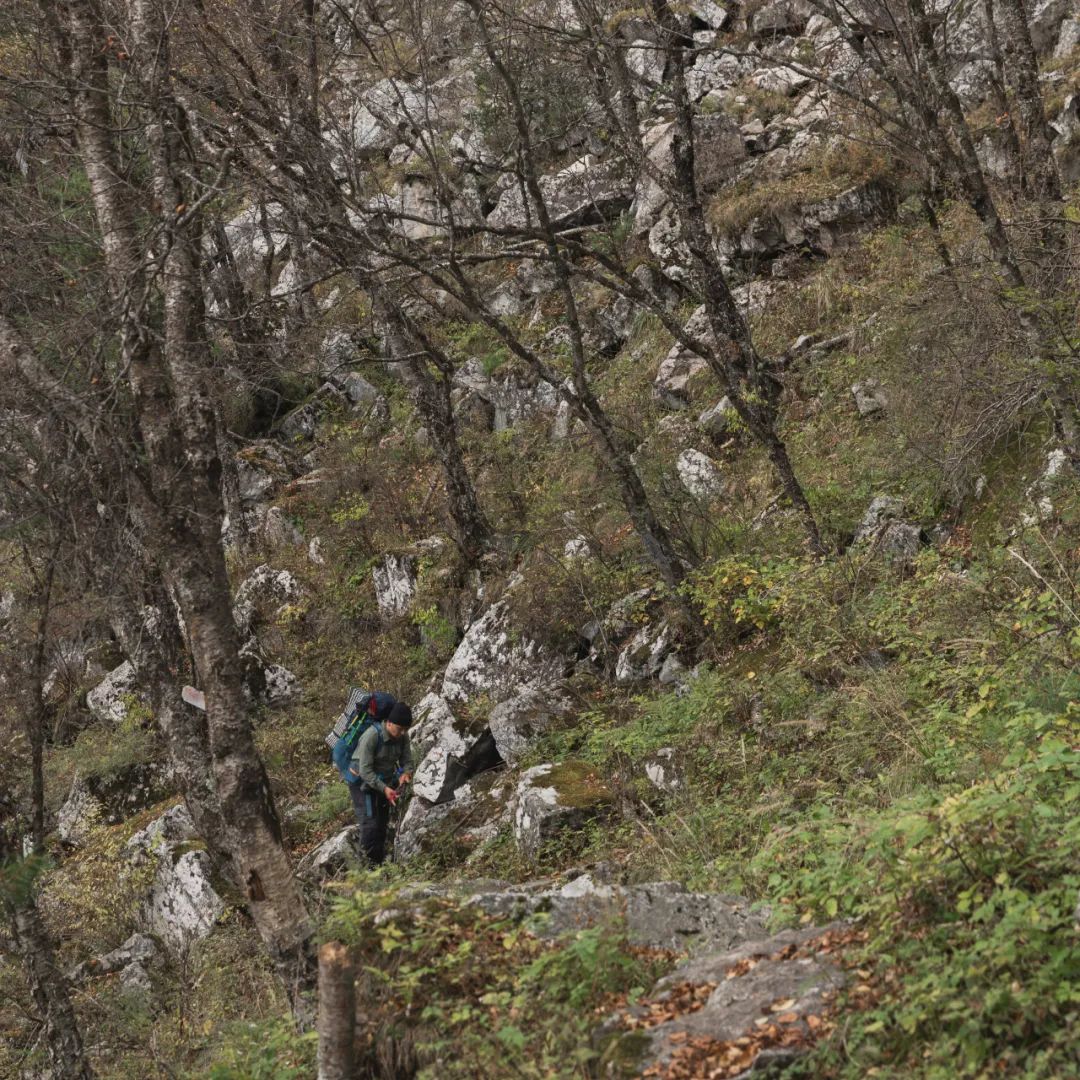 太白山是陕西最高点吗,秦岭最高峰太白山