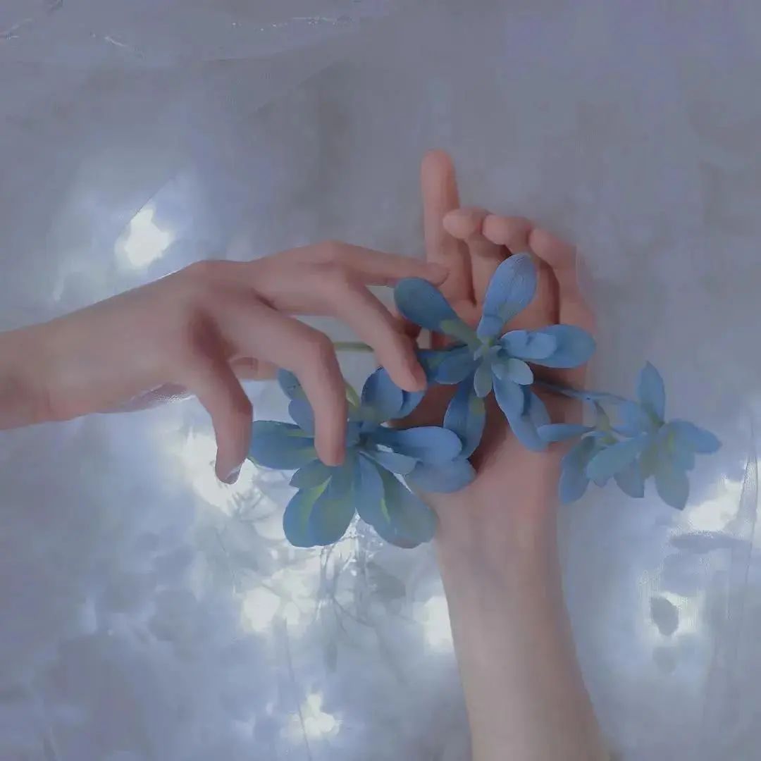 朋友圈背景送给大家,朋友圈背景送你一朵花