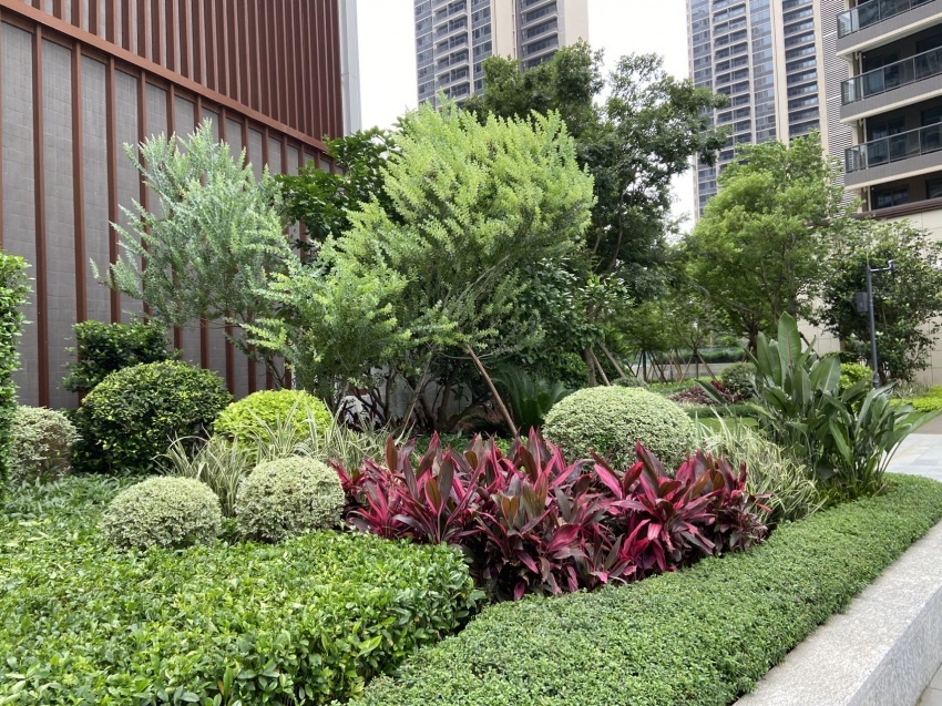 天天交付｜A区如期兑现，时代印记（广州）如何诠释精工品质？