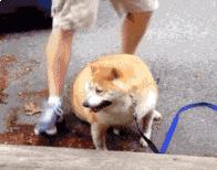 小蛇化身美杜莎,小蛇瞬间变成美杜莎