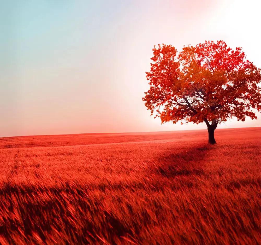 蚂蚁财富基金大V累计收益排行榜3.18