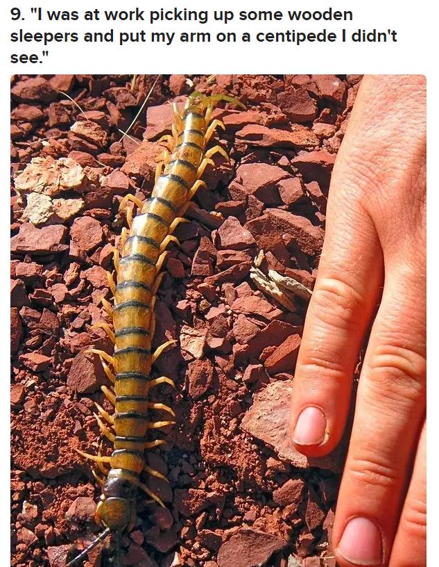 被毒的动物咬了会发生什么,亲身体验被有毒的动物咬