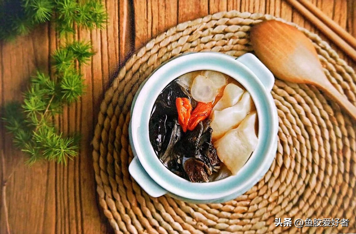 科普鱼胶赤嘴种类大全,关于鱼胶的知识讲座视频