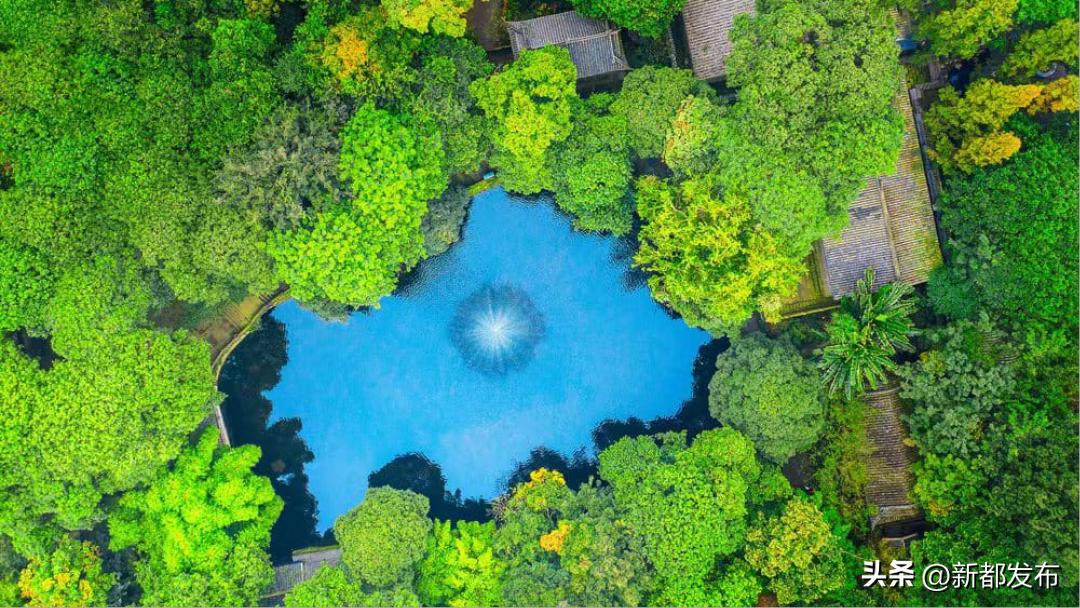 新都，你有什么了不起？