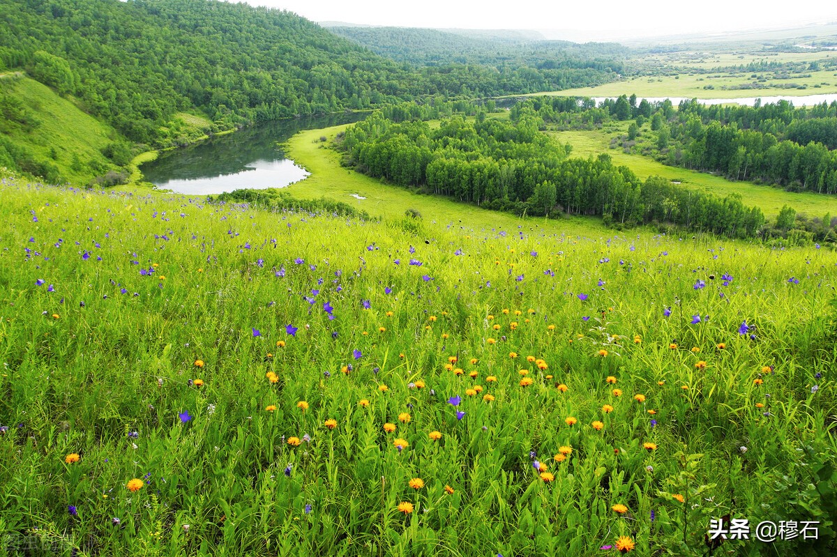 走进美丽的呼伦贝尔 (走进呼伦贝尔盟)