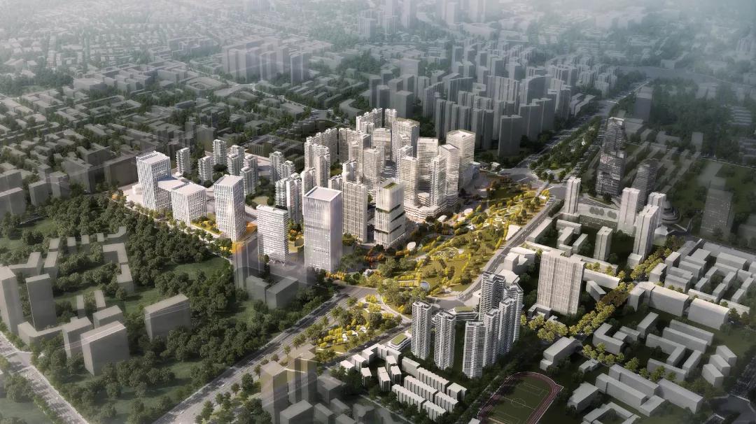 成都金牛区茶花片区,成都金牛的茶花片区是指哪里