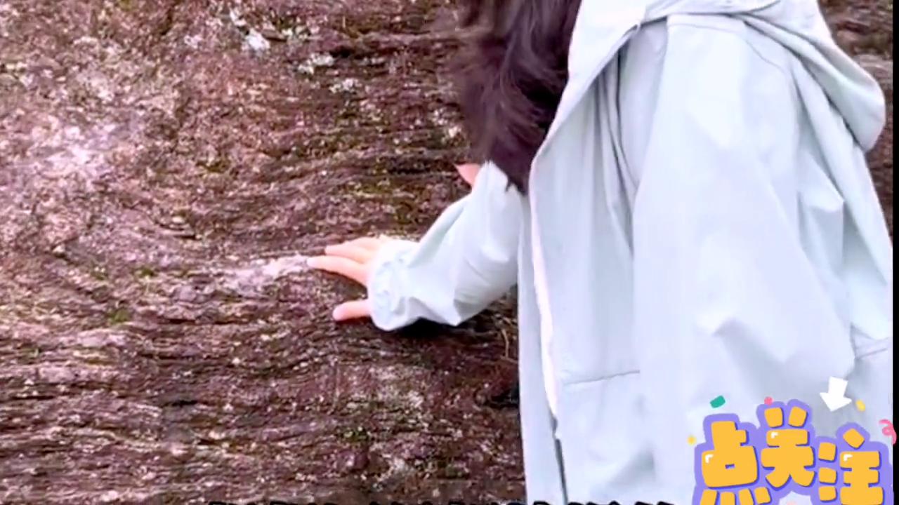 上海到雁荡山沿途自驾,上海到雁荡山火车时刻表