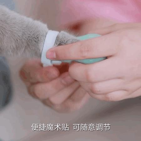 猫咪长时间穿鞋导致四肢溃烂，原因竟然是…主人怕被挠？