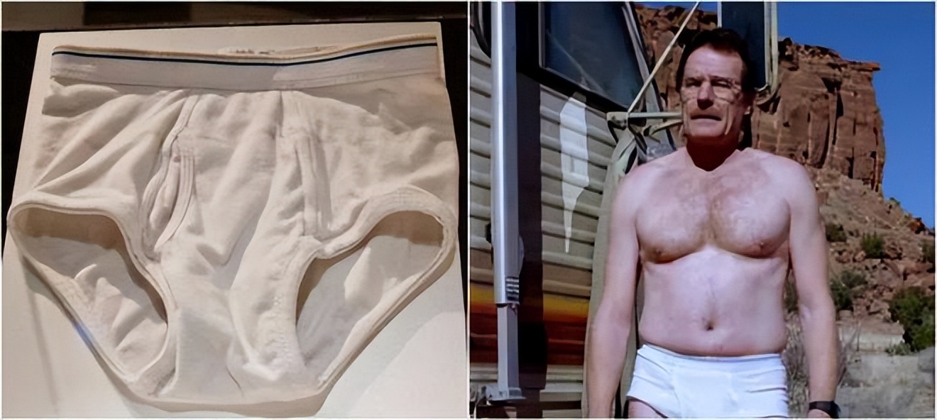 绝命毒师拍卖主角,绝命毒师主角被绿了么