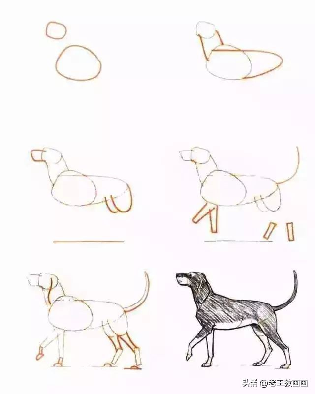 儿童简笔画入门慢教程零基础,2分钟教会孩子简笔画赶紧学起来