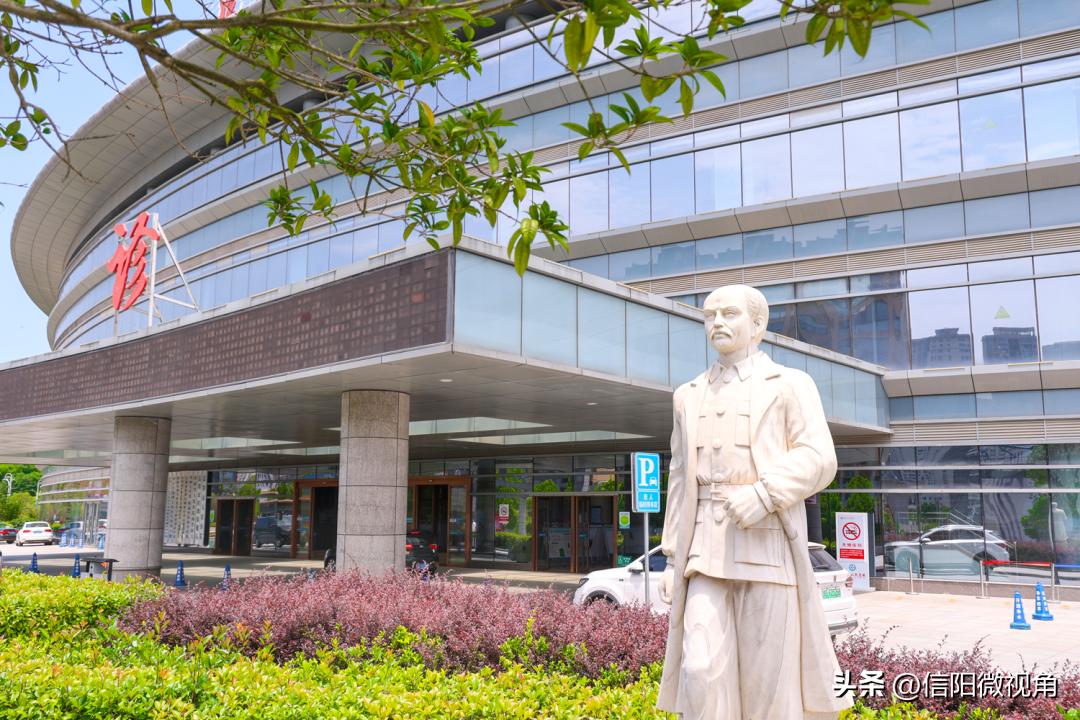 夏日限定!带您沉浸式体验信阳市人民医院的绿意芳香