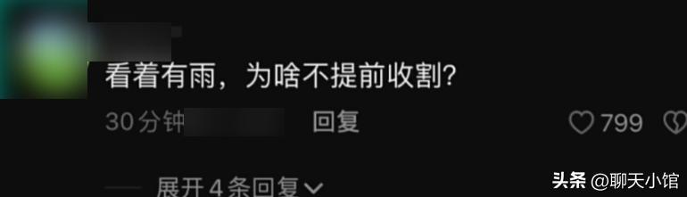 一张“农村小女孩帮忙麦收”照片惹众怒：收起你的傲慢与无知！