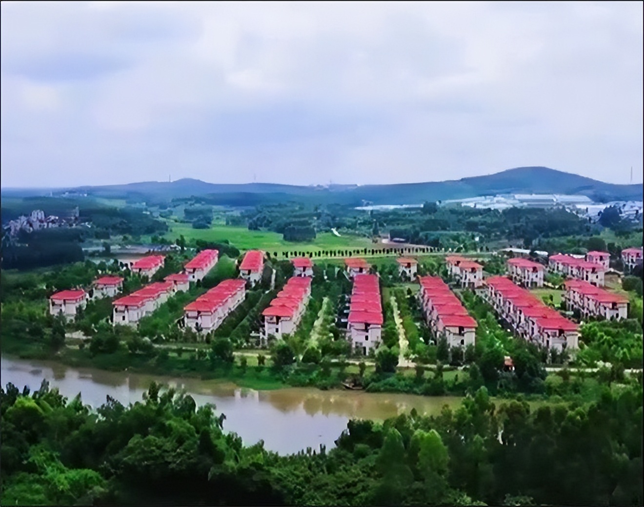 广东湛江老板每户分一套别墅,粤西私人老板建别墅给村民