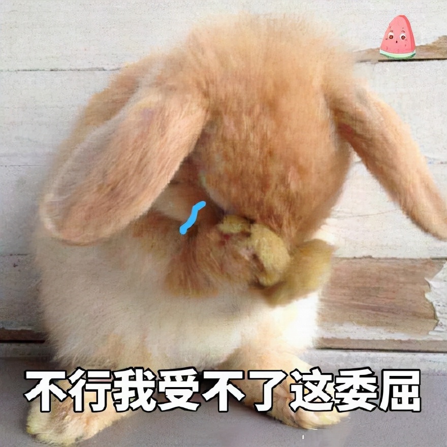 十二生肖兔的传奇,十二生肖中兔口碑如何