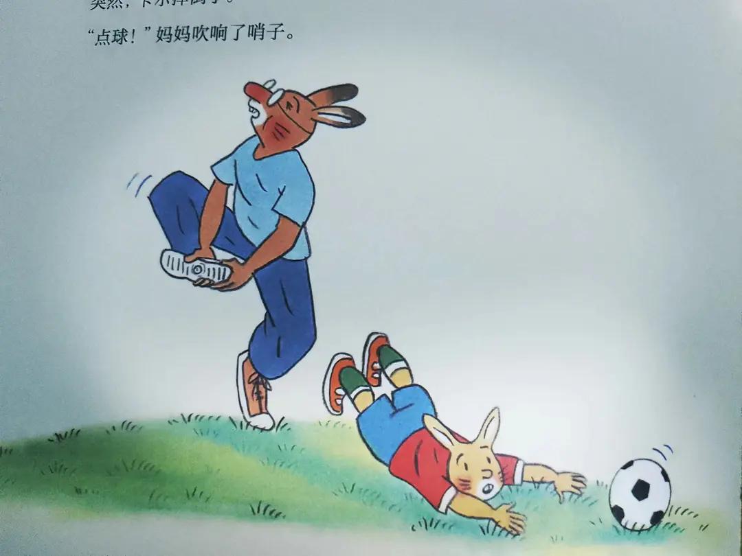 足球热爱者必读的书,足球青训启蒙课程书籍