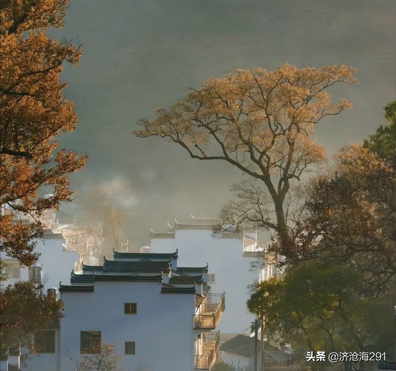 反映村居野趣的“词中双璧”，出自两位宋词大家，不可不读