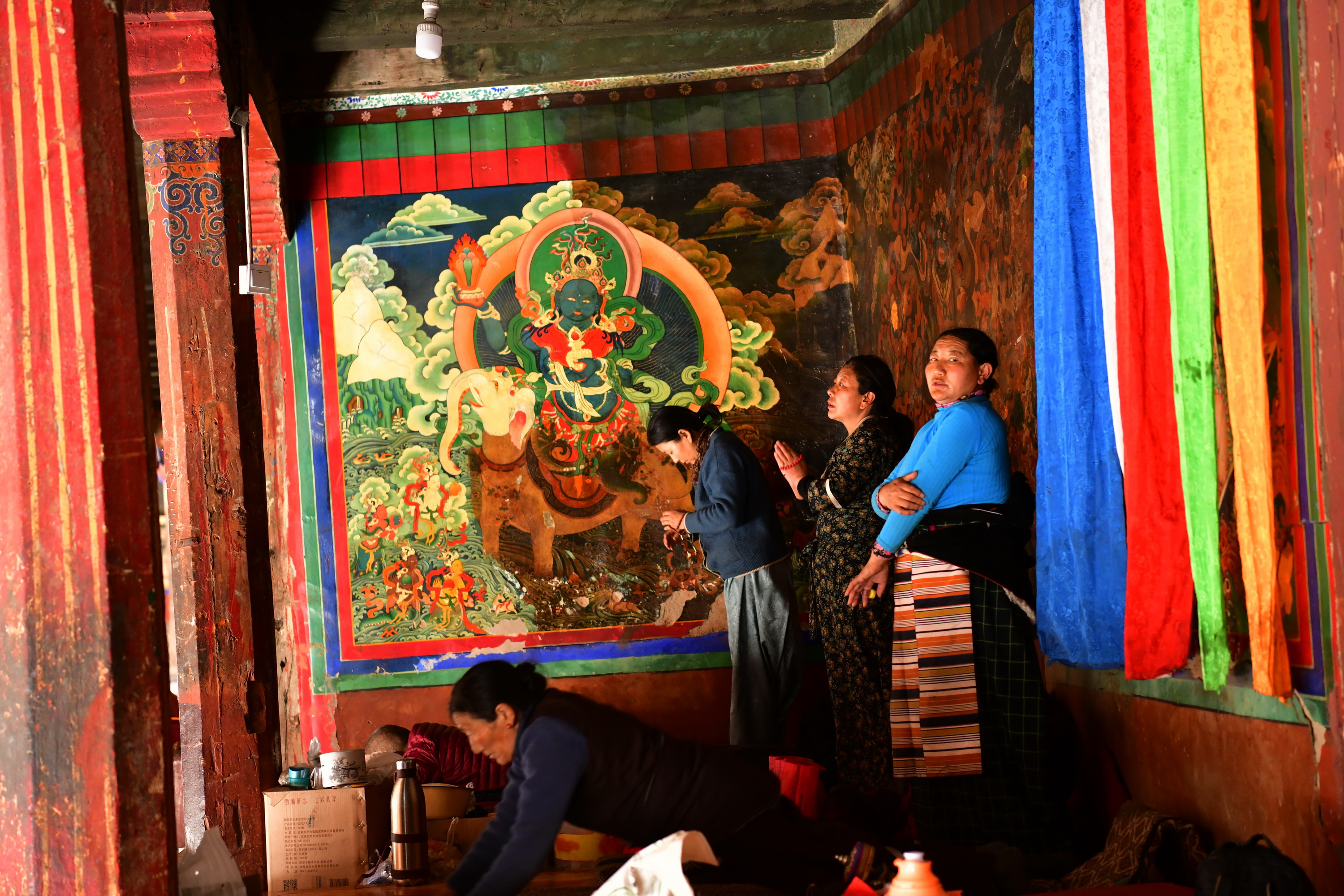 我的林芝一日游攻略,林芝看桃花西藏之旅