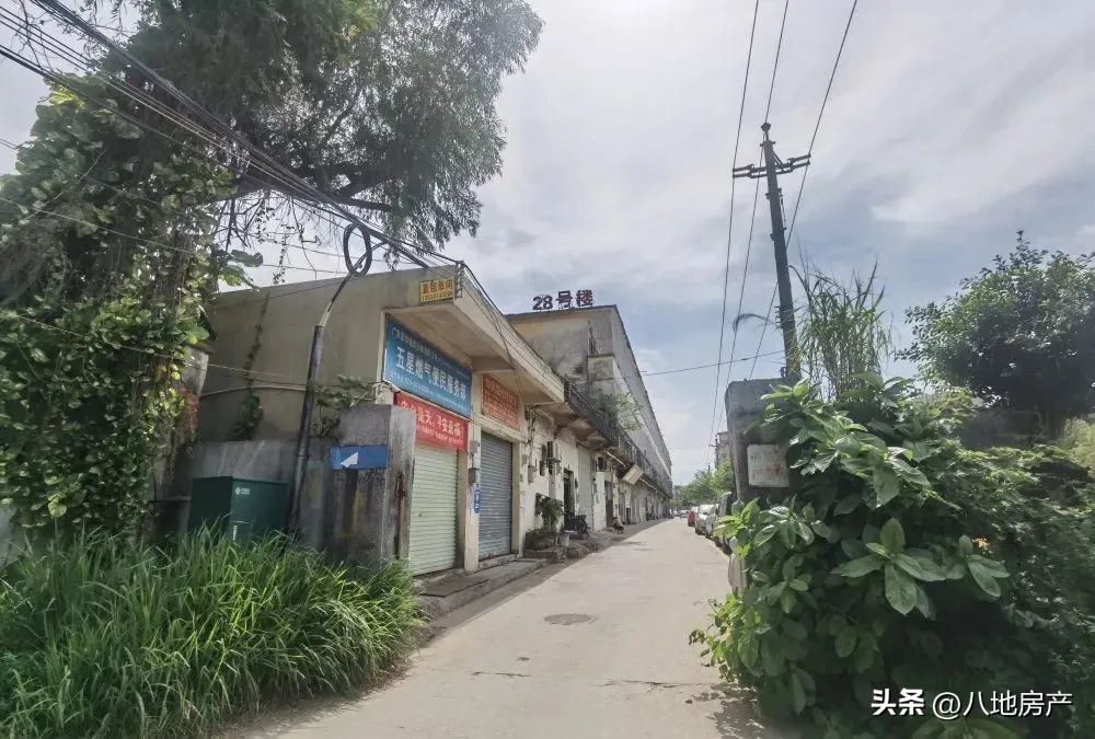 不抛弃不放弃！第四次土拍还要来，挖到了几条内幕