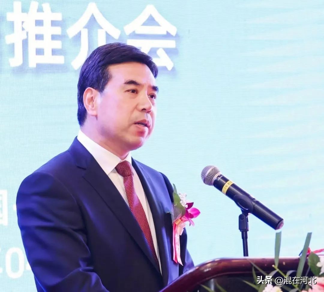 2024肃宁电商博览会,肃宁电商博览会现场