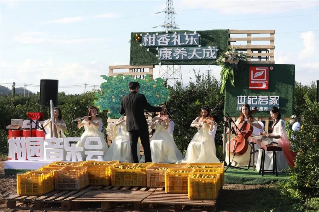 世纪茗家首届庆丰收线上柑园音乐会暨有机新品发布会圆满举办