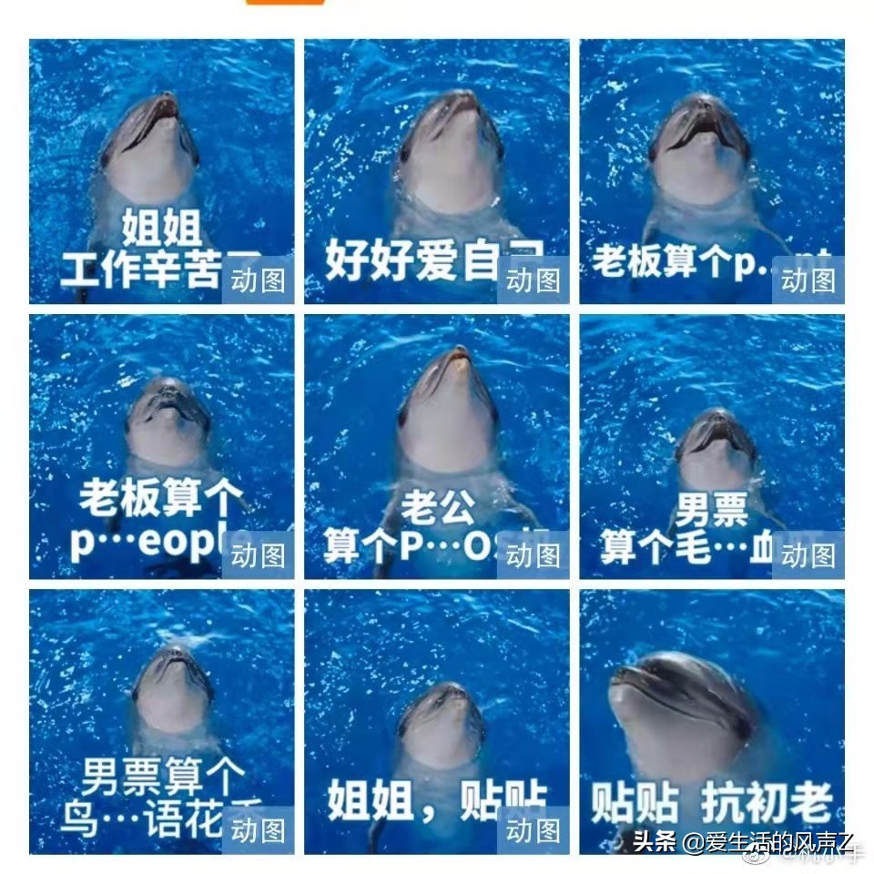 海豚皮仿生面膜广告吐槽,电梯里的海豚面膜广告