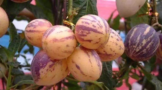 武威曾经全国第三大城市,甘肃曾经的第三大城市