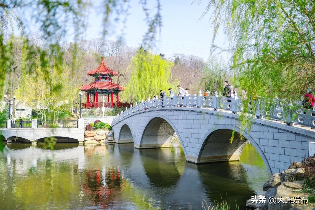 大连中山区打卡的景点,大连值得去的景点推荐