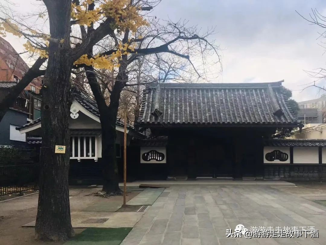 日本印象：樱花生活、排队文化、忠犬八公