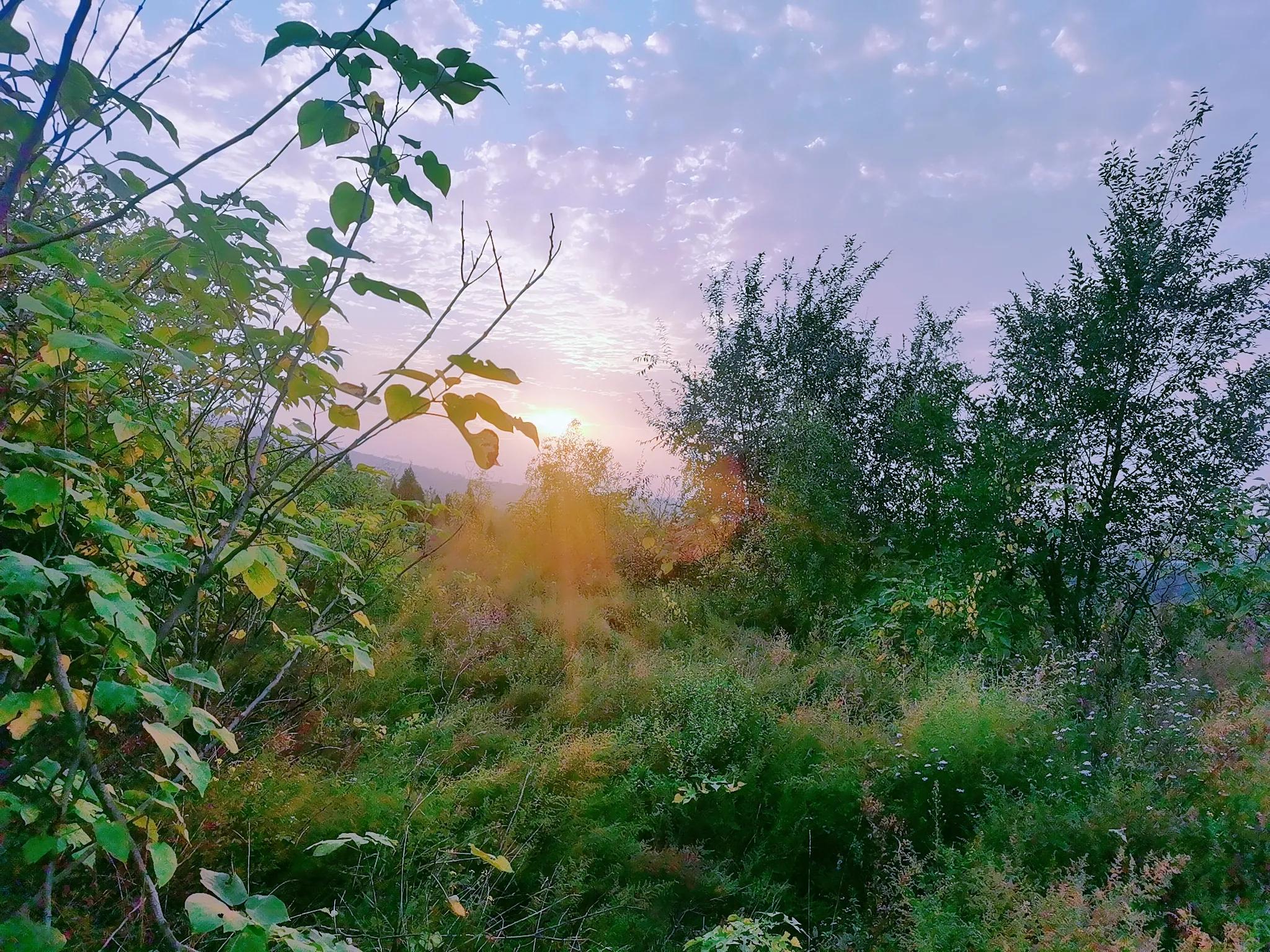 托班老师有哪些难点,托教老师压力大吗