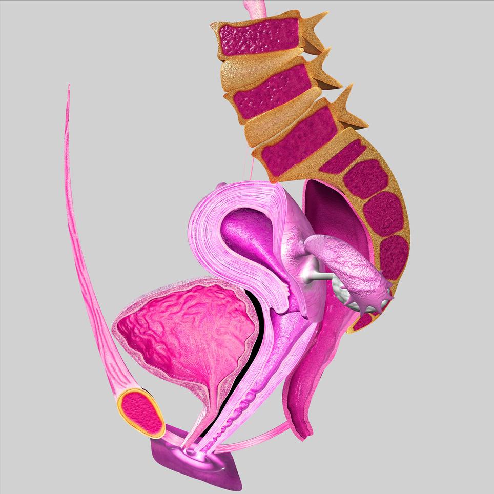 派特灵治高危hpv16的效果,派特灵治疗hpv感染最快治疗方法