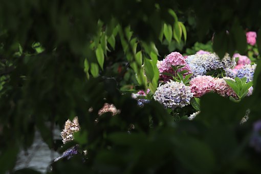 明天自有明天的忧愁,把明天的烦恼交给明天