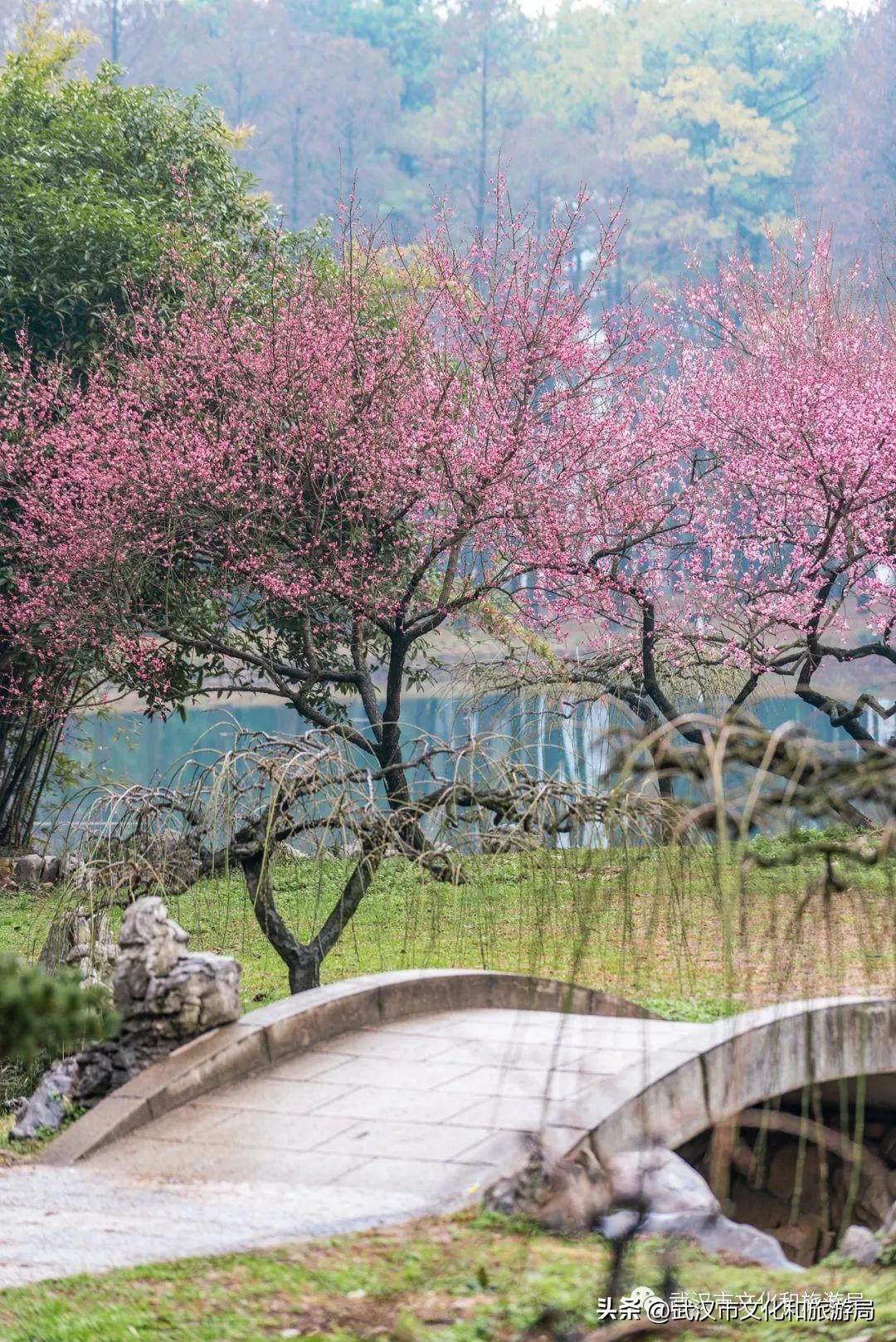 武汉人最新活动,武汉人元宵节